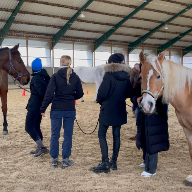 Zufriedener Coachee Longma Teamentwicklung bessere Zusammenarbeit